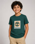 T-shirt verde con stampa logo Timberland a contrasto frontale
