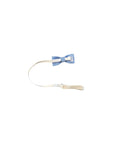 Papillon azzurro Atipico