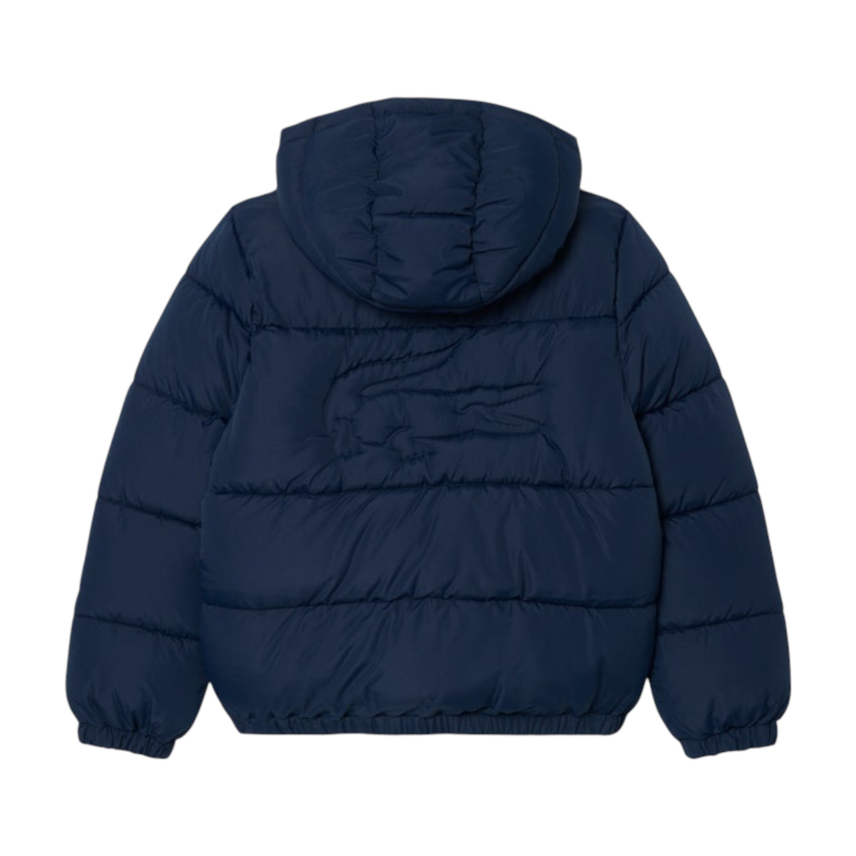 Giubbino blu con patch logo Lacoste